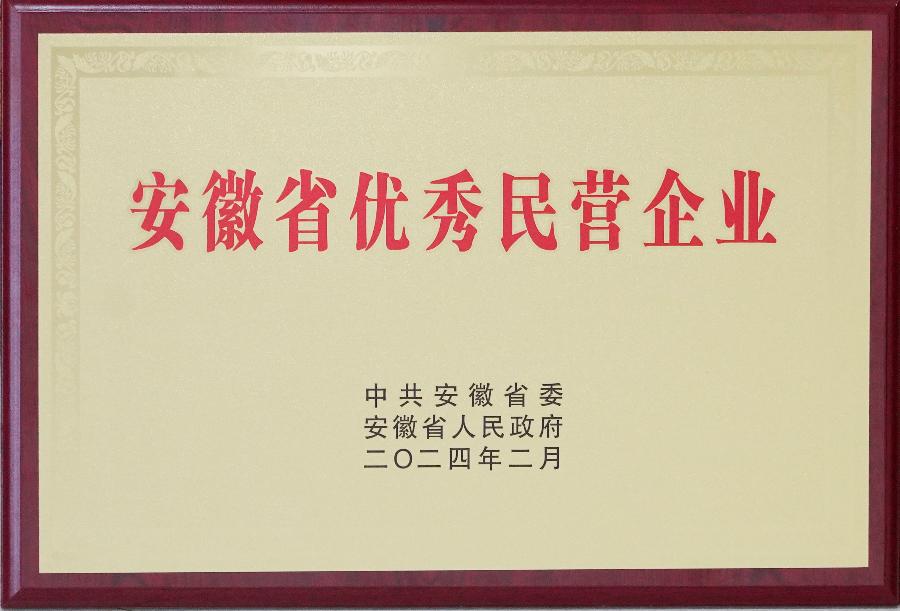 2024年安徽省优秀民营企业